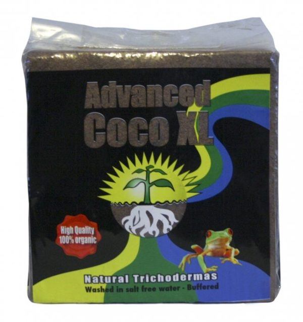 Advanced Coco XL 5kg