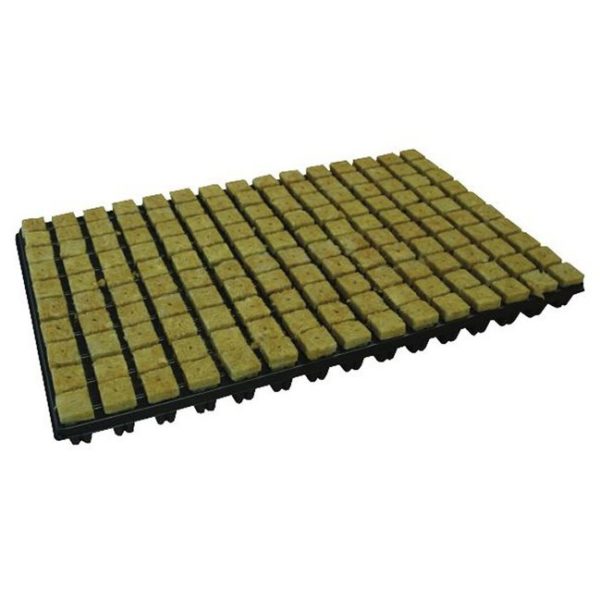 Cube de laine de roche Grodan 2.5x2.5x4cm 150x par plateau